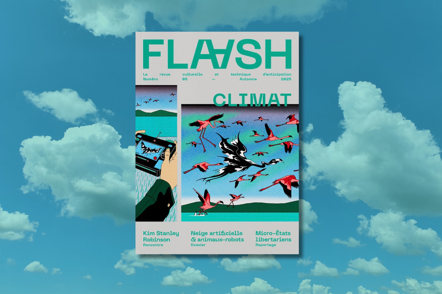 Flaash 08 Climat