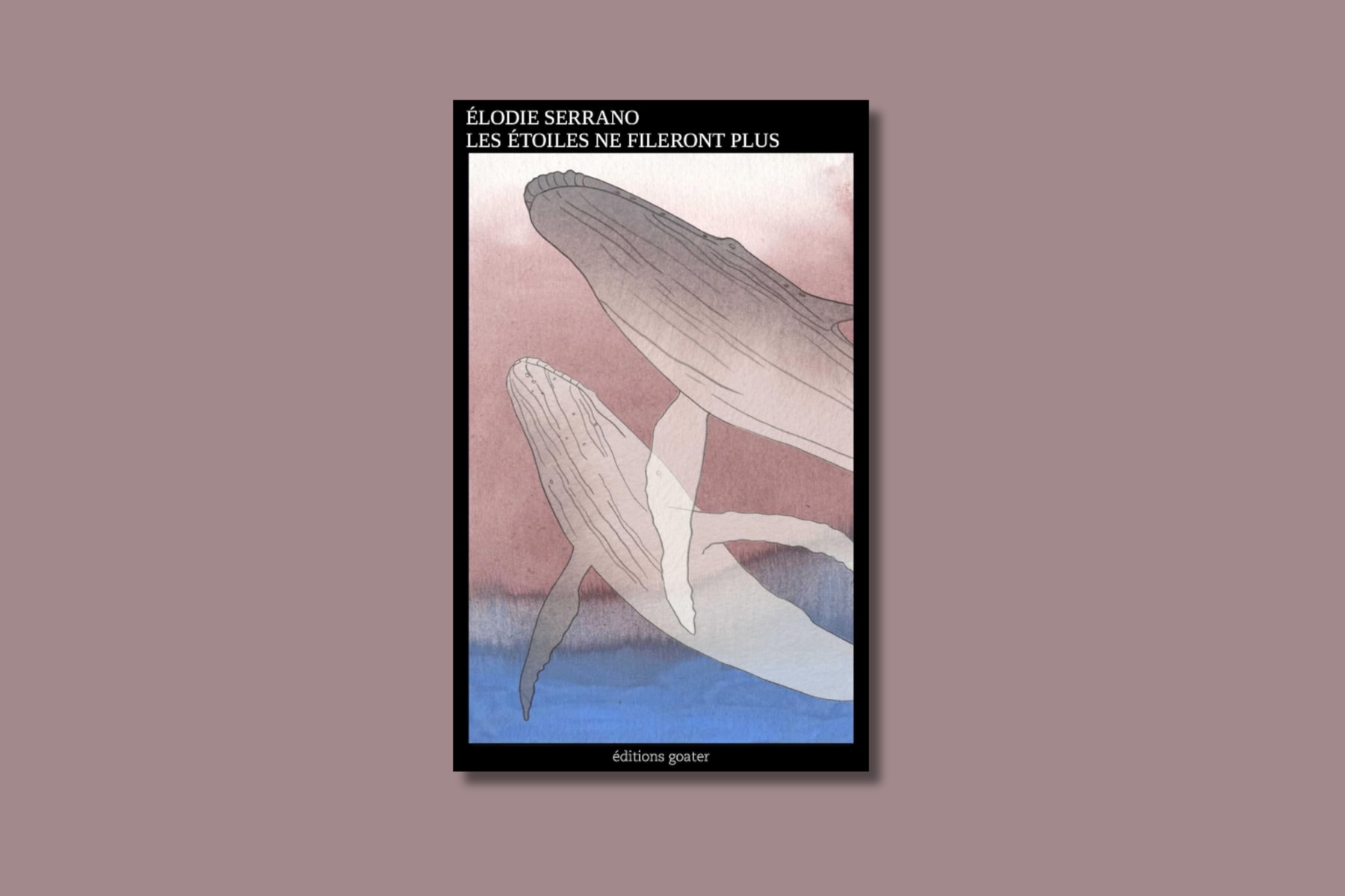 Les étoiles ne fileront plus